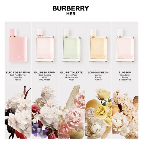 burberry elixir her